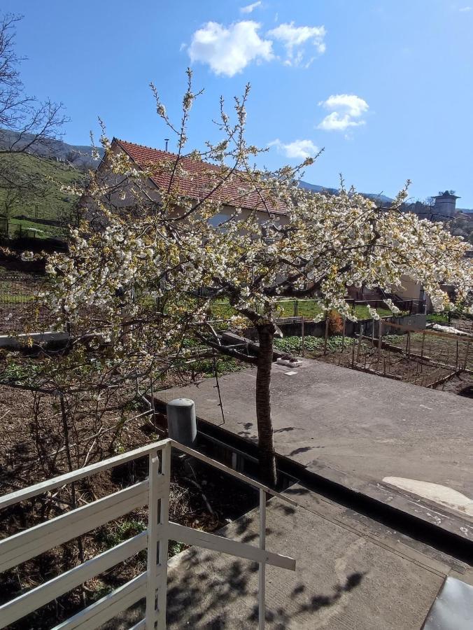 Apartman Bor Livno Exterior photo